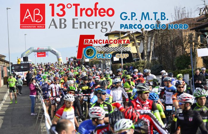 copertina comunicato finale villachiara 2017