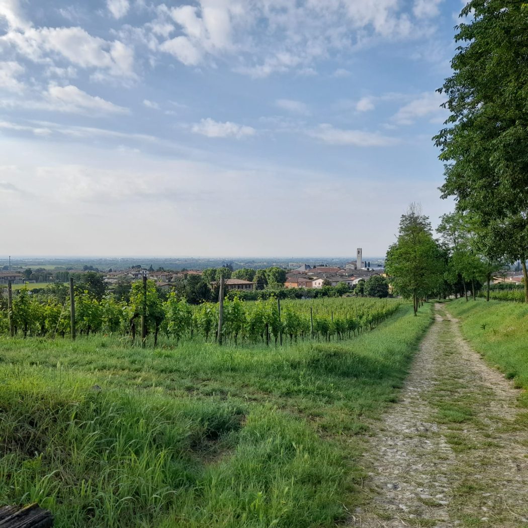 WhatsApp Image 2024-05-22 at 07.35.56