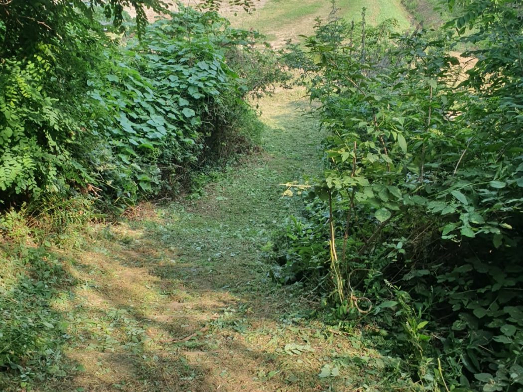 WhatsApp Image 2024-08-24 at 16.21.22