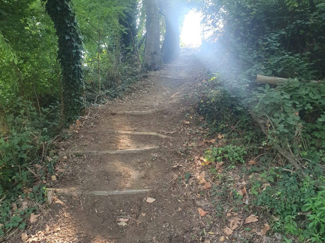 WhatsApp Image 2025-08-25 at 10.50.00